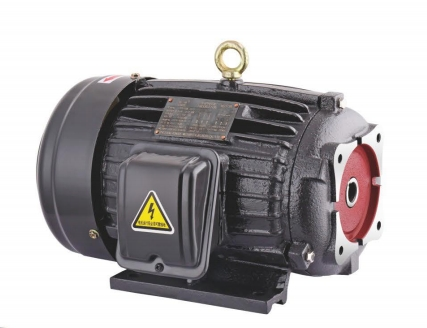 Bomba de aceite serie YT